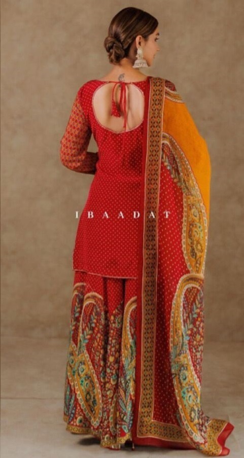 AAROHI-DESIGNER-PD-1023-B-DESIGNER-PARTY-WEAR-2