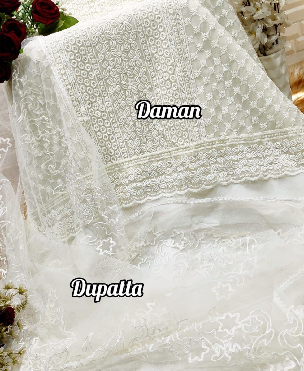 BINILYAS-1798-PAKISTANI-SALWAR-SUITS-IN-INDIA-3