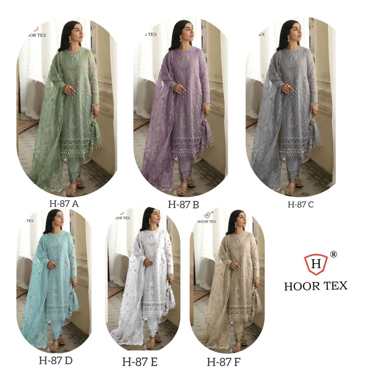 HOOR-TEX-H-87-FOUX-GEORGETTE-PAKISTANI-SALWAR-SUITS-WHOLESALE-17