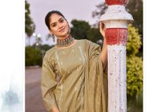 ISHAAL-EMBROIDERED-VOL-6-COTTON-SALWAR-KAMEEZ-WHOLESALER-IN-SURAT-17