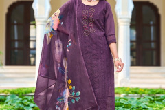 RADHIKA-LIFESTYLE-SUNDARI-VOL-1-ORGANZA-READYMADE-KURTI-SUPPLER-IN-SURAT-10