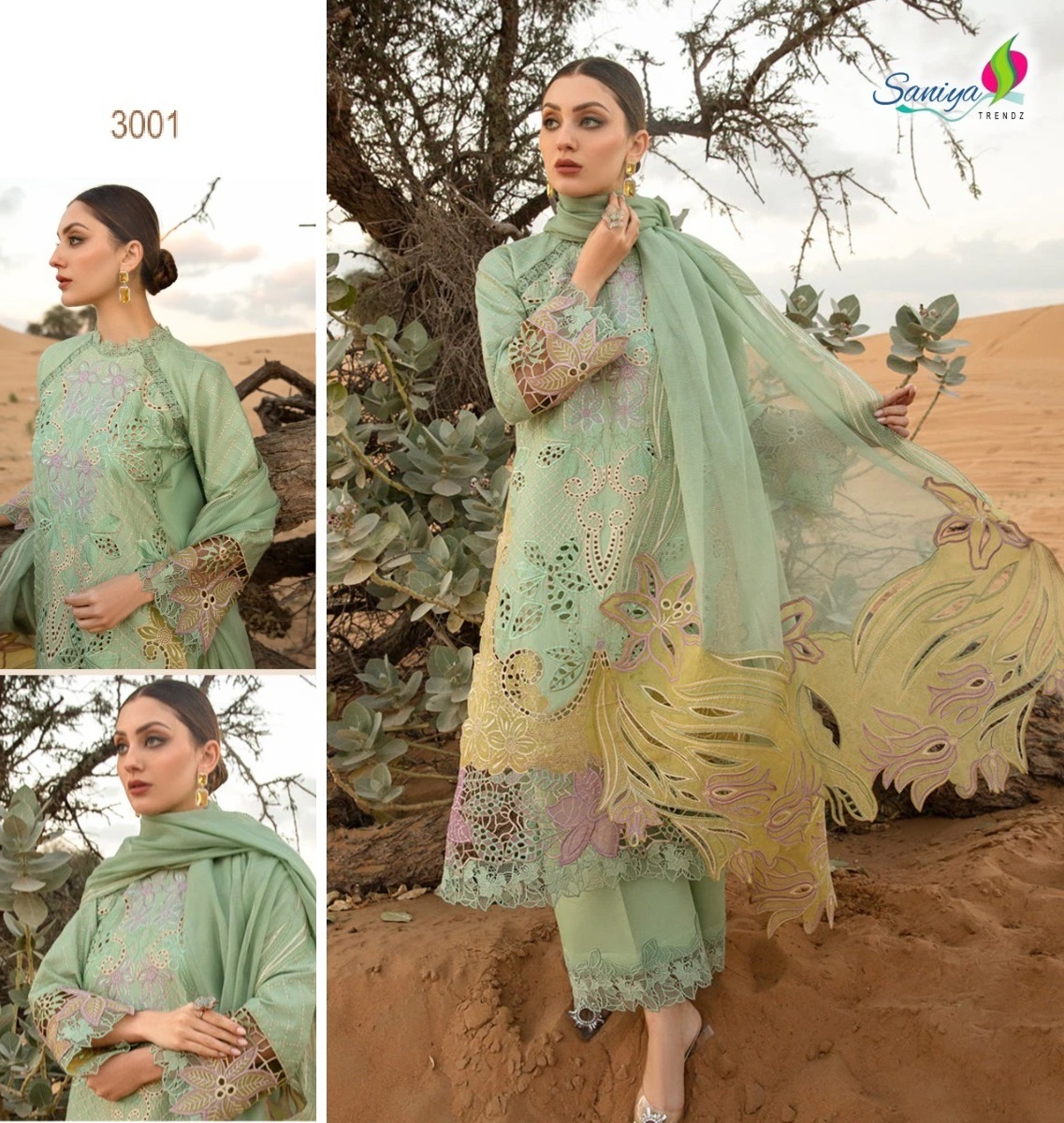 SANIYA-TRENDZ-3001-RANG-RASIYA-VOL-03-SUITS