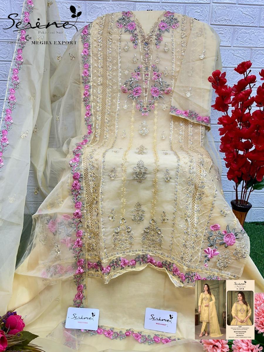 SERINE-247-ORGANZA-SALWAR-KAMEEZ-4