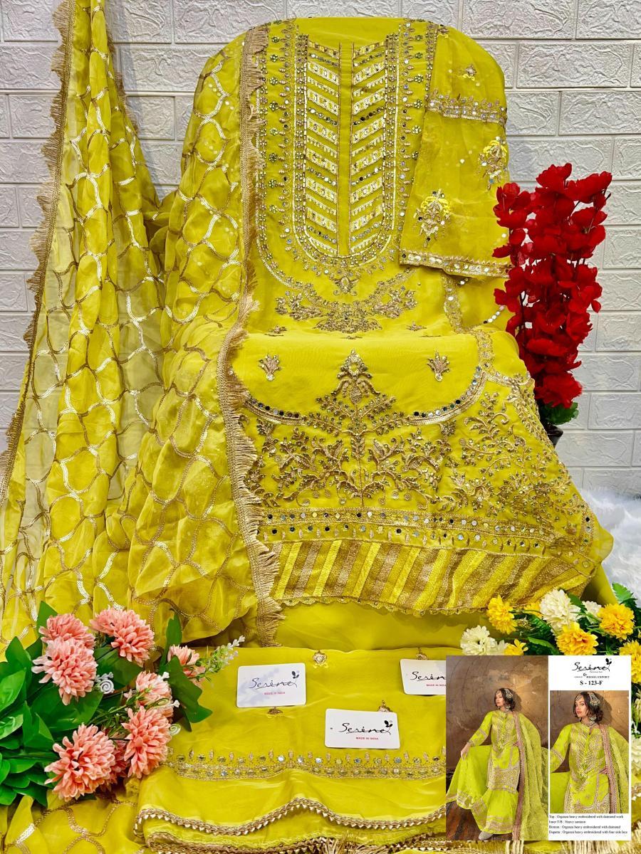SERINE-S-123-F-PAKISTANI-SALWAR-SUITS-IN-INDIA-2