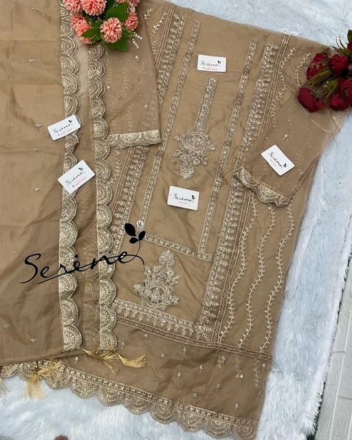 SERINE-S-234-ORGANZA-PAKISTANI-SALWAR-SUITS-9