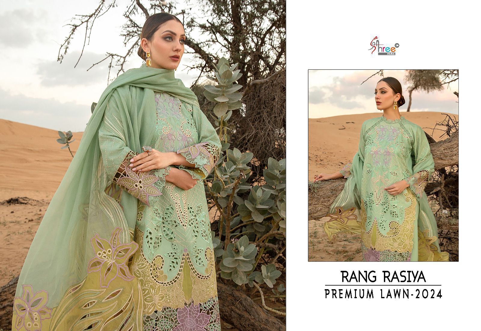 SHREE-FABS-RANG-RASIYA-PREMIUM-2024-LAWN-SALWAR-SUIT-SUPPLIER-IN-SURAT-3