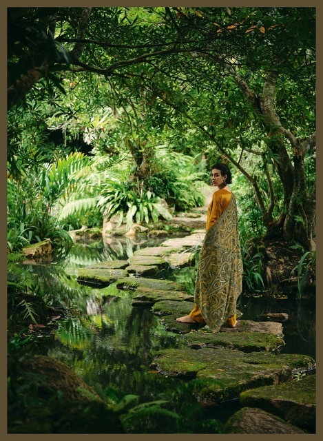 VARSHA-WINTER-AFFAIR-VELVET-EMBROIDERY-SUITS-WHOLESALE-8