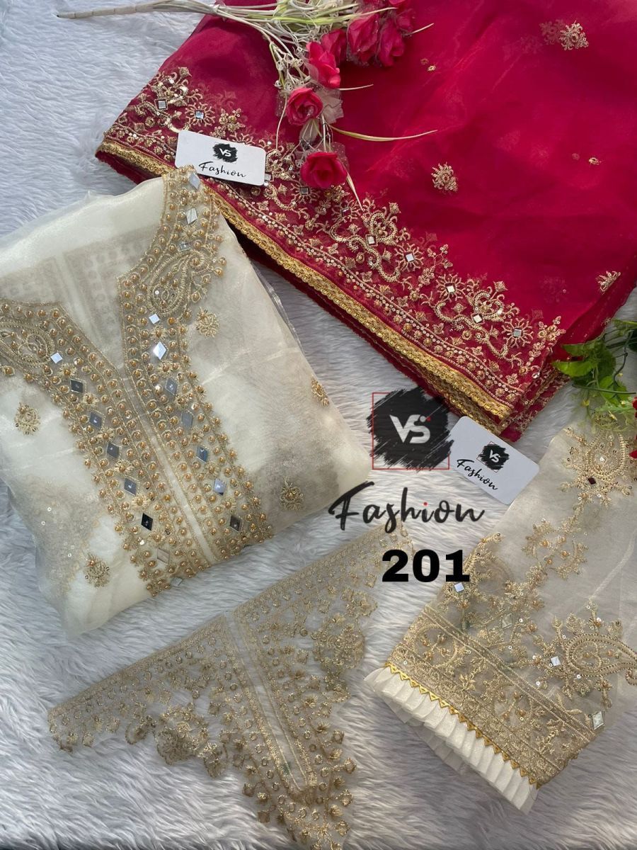 VS-FASHION-201-ORGANZA-SALWAR-KAMEEZ-3