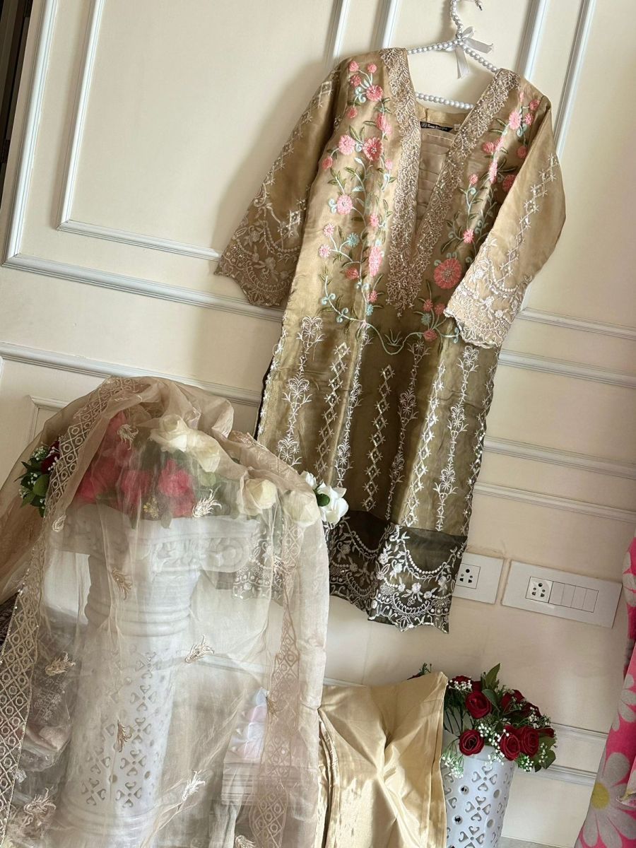 ZIAAZ-DESIGNS-373-B-PAKISTANI-SUITS-IN-INDIA-4