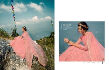 FIONA LILY & LALI GULS PRIDE HEAVY SALWAR SUITS